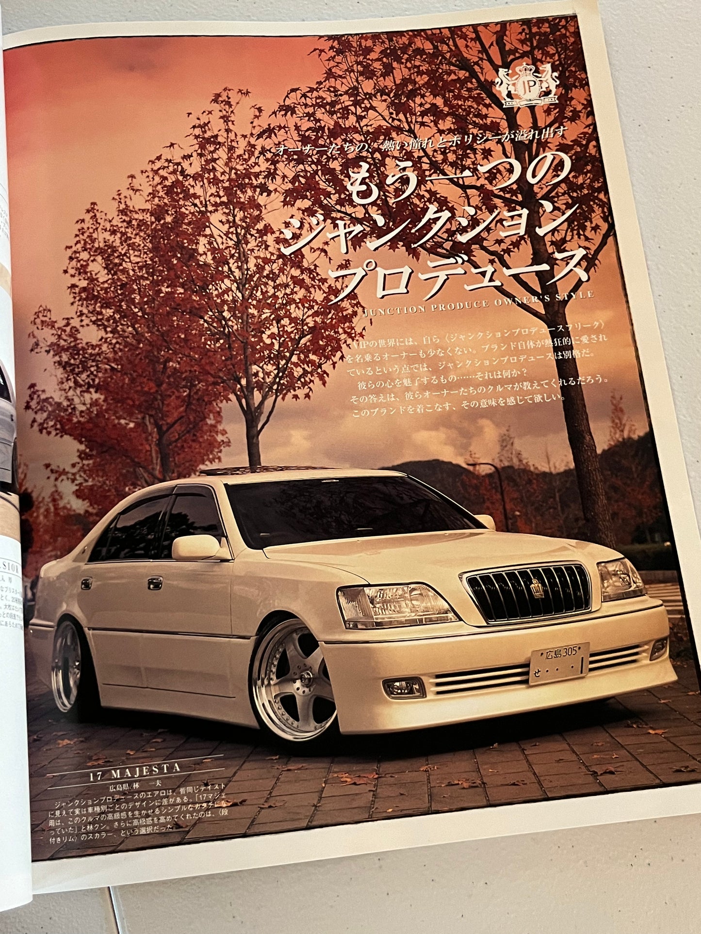 Junction Produce Cosmic Mook